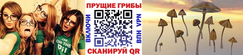 Купить закладки Туринск Псилоцибиновые грибы ЛСД